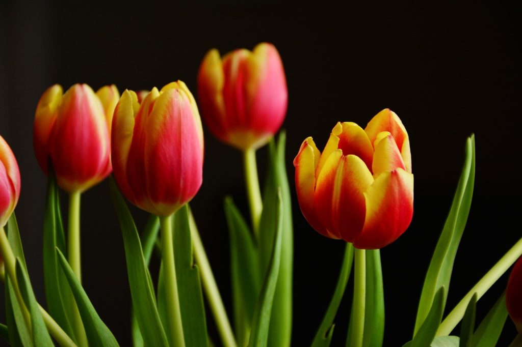 wendy_moore's tweet image. RT What are #Dutchauctions and why you need to avoid them? @_Amalain 
realas.com/blog/dutch-auc…
