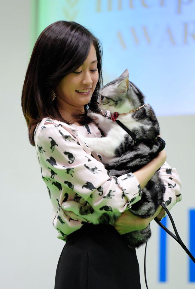 あつばんちょー A Twitteren 前田敦子 司会者から想定外ツッコミに顔赤らめる ペット好き著名人授賞式で 芸能 デイリースポーツ Online T Co W3to3xgipo Daily Onlineより インターペットアワード 前田敦子 あっちゃん ポッツ T Co 67lxazzk9t あつばんちょー A Twitteren 前田敦子 司会者から想定外ツッコミに顔赤らめる ペット好き著名人授賞式で 芸能 デイリースポーツ Online T Co W3to3xgipo Daily Onlineより インターペットアワード 前田敦子 あっちゃん ポッツ T Co 67lxazzk9t