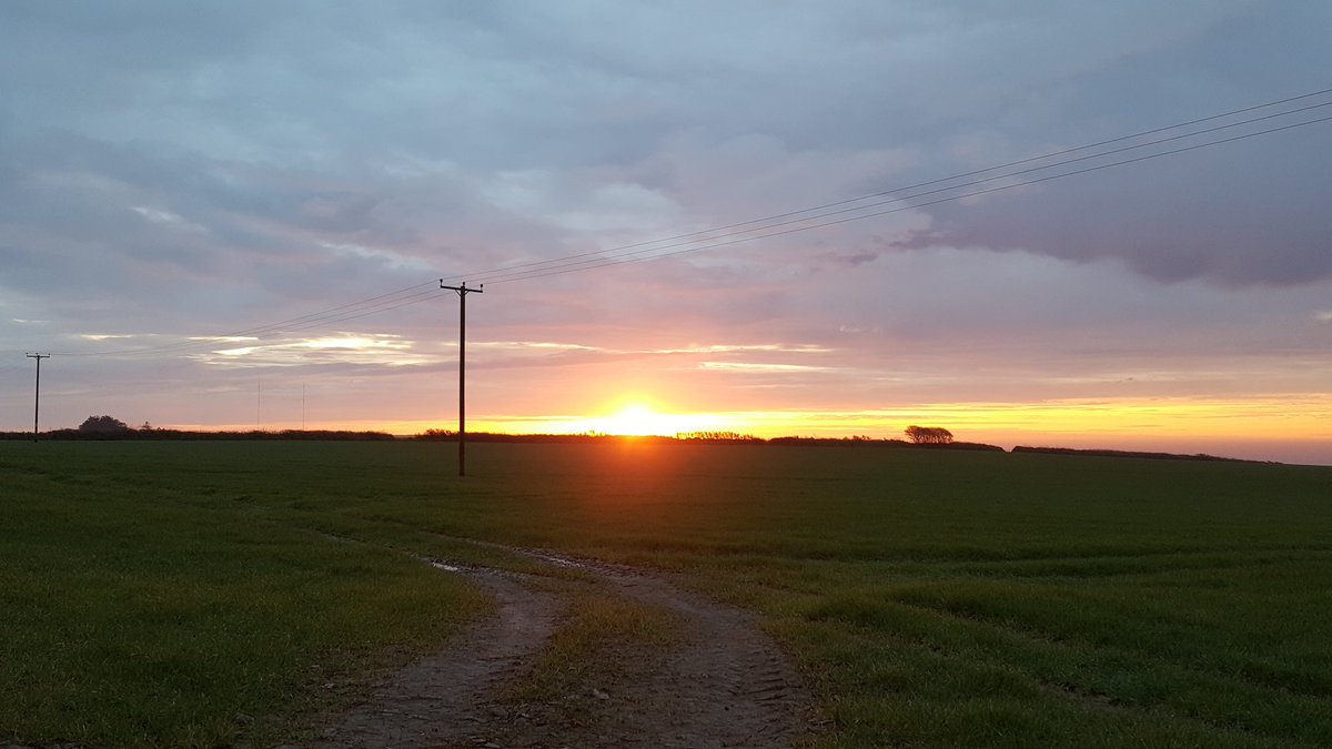 TorringsBarn's tweet photo. A beautiful sunrise this morning, why don't you come and see for yourself! https://t.co/hRulWnJTuS
#sunrise #devon #selfcatering #holiday https://t.co/uCUMRIFNWK