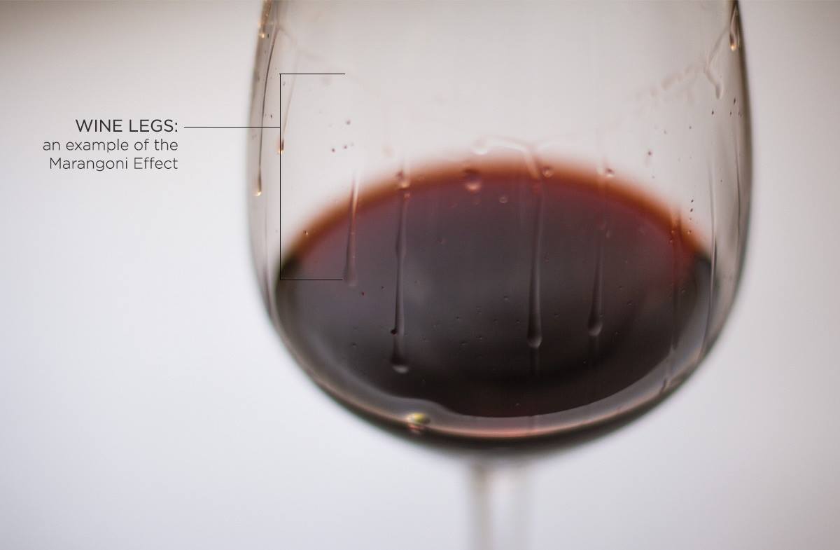 WineClassify's tweet photo. Did you know wine legs are not a sign of quality wine, just a higher presence of alcohol! What have you heard? #wine #winelover #windelivery https://t.co/U8omMDyBmD