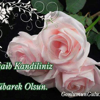 Kandiliniz mübarek olsun.🇹🇷🇹🇷🇹🇷