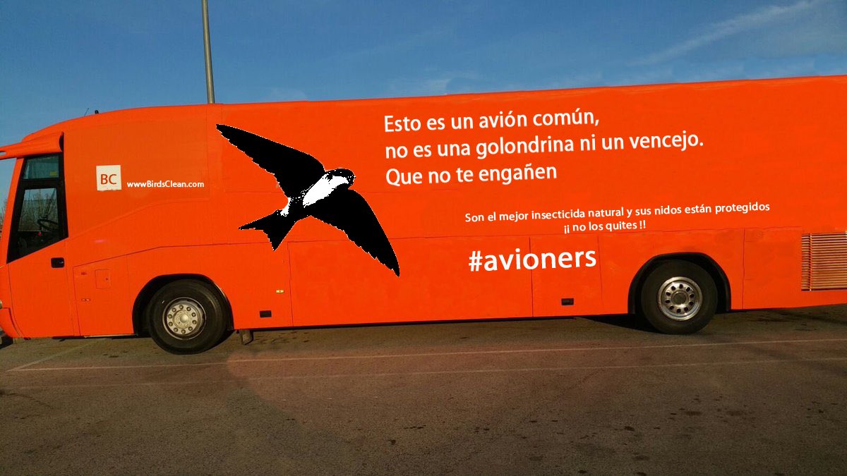 MedioAmbiente4a's tweet photo. Es un avión común. Que no te engañen #hazteOir #avioners @SEO_BirdLife @ecologistas @WWFespana https://t.co/7XvytYNk8o