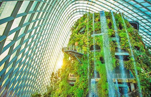 Flower Dome and Cloud Forest Garden by The Bay Admission Ticket . goo.gl/ZlPGvY
