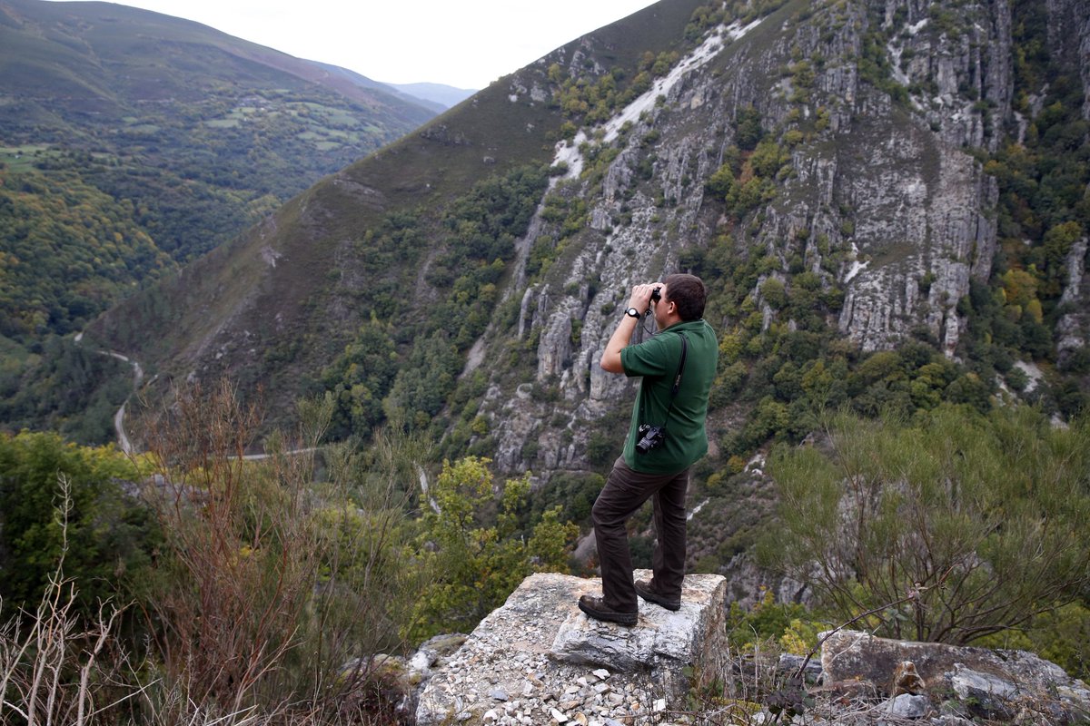 Viajamos a Muniellos para conocer y contaros la historia de Víctor, un trabajo para el proyecto #rostrosdelanaturaleza con  <a href="/FBiodiversidad/">Fundación Biodiversidad</a>