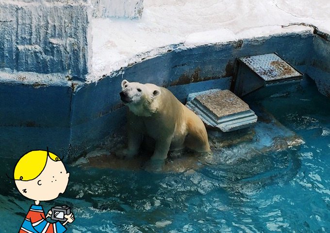 天王寺動物園のtwitterイラスト検索結果