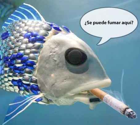 MazasComposCo's tweet photo. unha colilla de un pitillo no mar contamina 50 litros de auga. Ao ano tiranse arredor de 3.935 toneladas!! https://t.co/LAoJAz288w