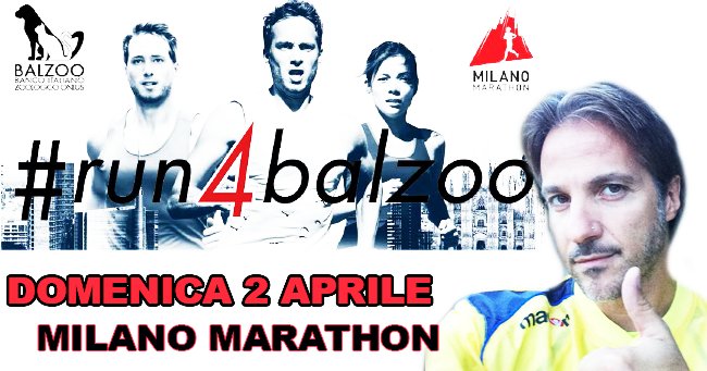 marcoanelli's tweet photo. presente per 
la Milano Marathon, 40 km di corsa con Balzoo a favore degli animali
https://t.co/VbaBlSyZlJ URL breve https://t.co/9UVHj0bsvr