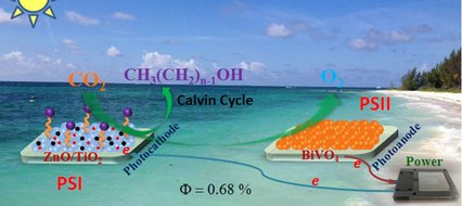 ChemSusChem's tweet image. Zhang et al. report on how to mimic #photosystems I and II to convert #CO2 into alcohols doi.wiley.com/10.1002/cssc.2…