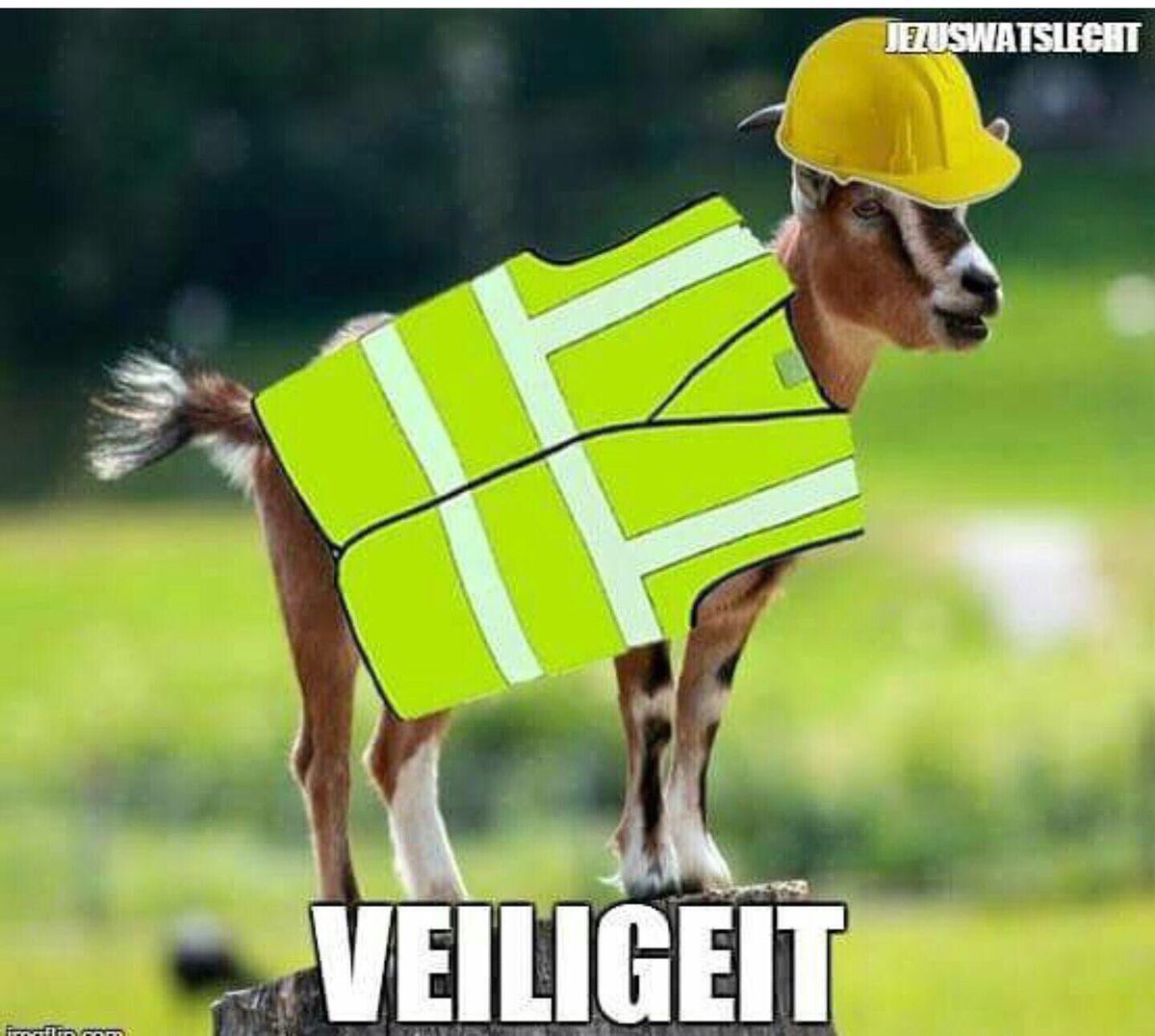 #grapvandedag
