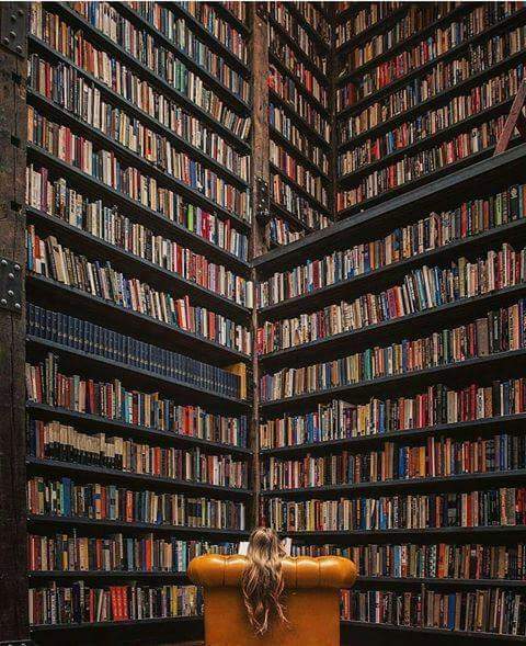 amarmosh65's tweet image. סדר ונקיון לפסח וגם..