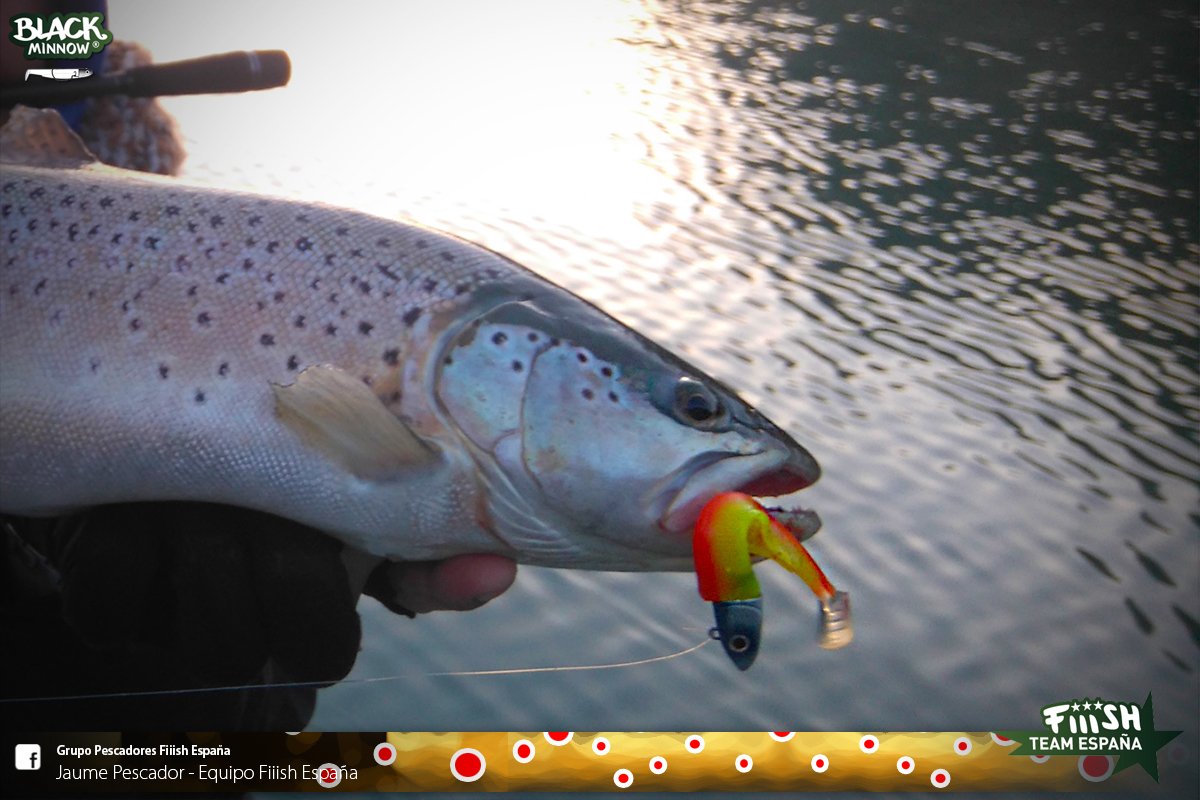 elpezrosa's tweet photo. El río, la trucha y yo. Ese momento mágico me espera un año más!!! #blackminnow #powertail #fiiish & realease https://t.co/iNqhdpiUj4 https://t.co/i8KaHafFpO