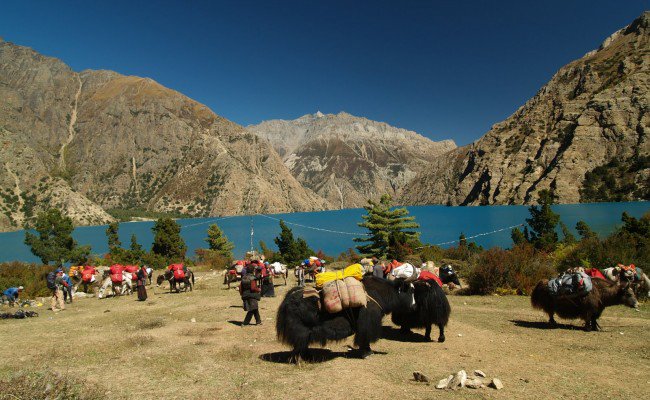 #UpperDolpo is the #highest #inhabited land of Dolpo #region
#landscape #travelphotography #mountain #heritage #trek nepalhimalayastrekking.com/upper-dolpo-tr…
