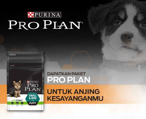 HomeTesterID's tweet photo. PRO PLAN Puppy, produk makanan berkualitas tinggi untuk Anjing Kesayangan. Coba Gratis dgn daftar di https://t.co/sre8z5Jldk #OptiStart https://t.co/u5vDHIDtWb