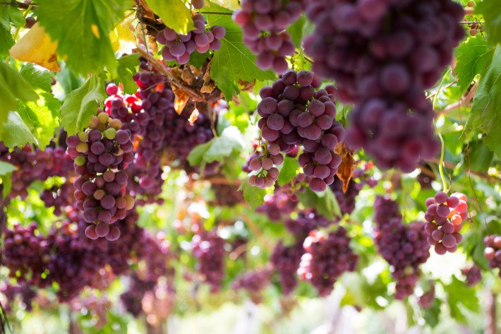 Techbee2019's tweet image. To believe that as I gave to the world，so the world will give to me.