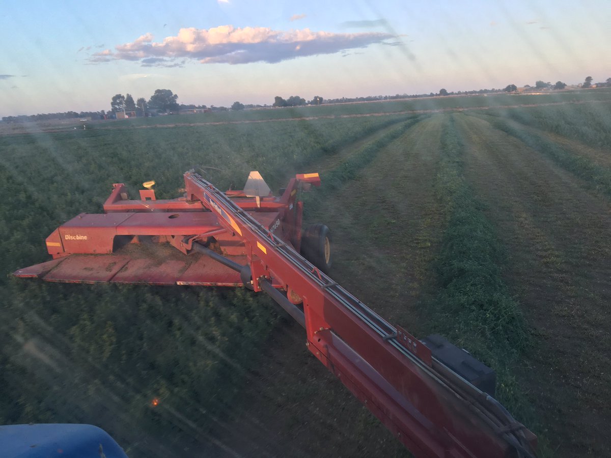 ben_nexhip's tweet photo. 6th cut of Lucerne going down much heavier than expected for this time of year thanks to @CropSol @CroppingSol #Calx #CSblack #K38 https://t.co/DPVUPj485I