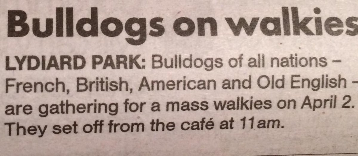 BellaJoJos's tweet photo. Bulldog owner in Swindon ..... get to it #bulldogwalk #swindon #bulldogs #greatfun #swindonbulldogs https://t.co/MvagQbsbID
