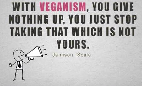 🌍🐇🐄🌱🐖🐋🍎💛