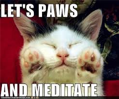 CatRescueChch's tweet photo. Silent Auction #16 Neave Rohan Ross-Wallace  kindly donated a place on  Mindfulness for busy mum's course! RRP $40

https://t.co/9FlbsEUIES https://t.co/BN4dPrYeiR