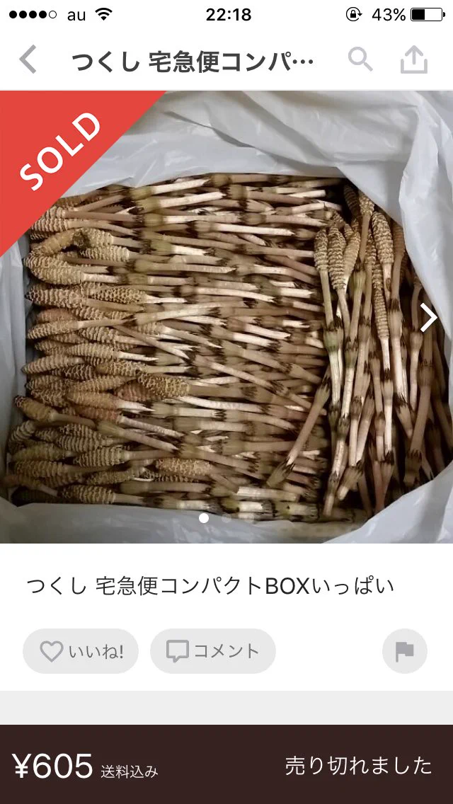 売れまくりｗメルカリでつくしを売って大富豪にｗｗｗ