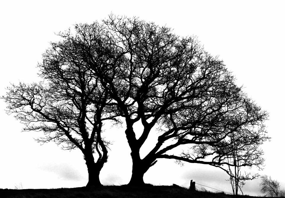 Paul Arrowsmith (@pjaphotos) on Twitter photo 