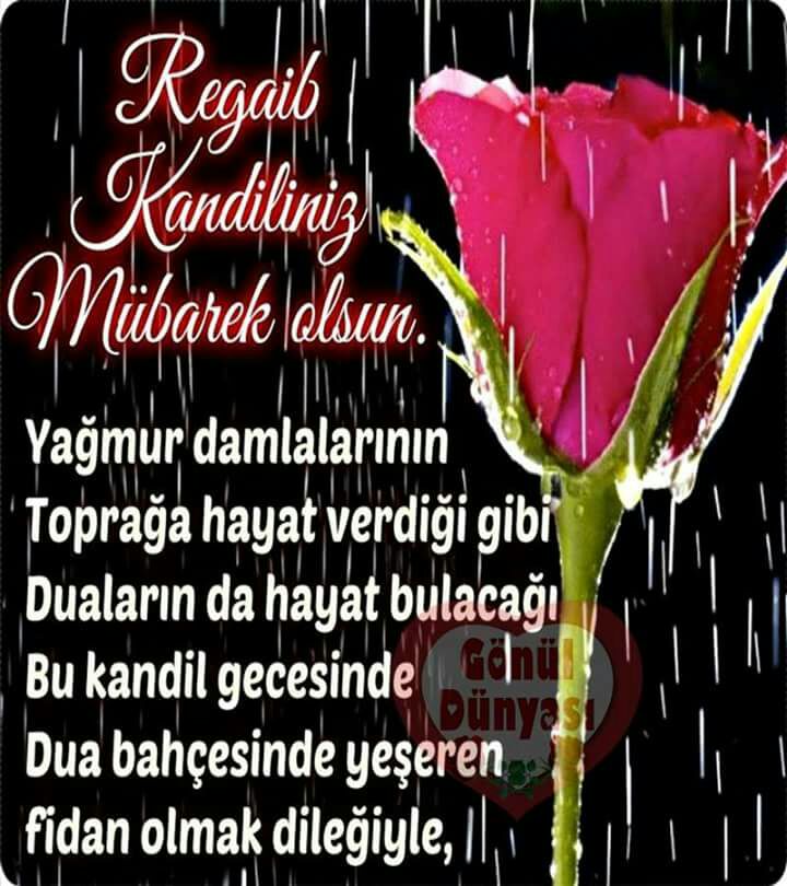 Üzeyir Karaaslan (@3535uzeyir) on Twitter photo 