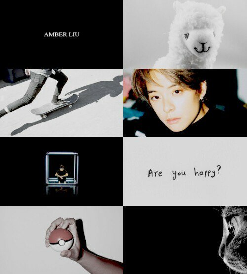 aestheticsber's tweet photo. — are you happy? https://t.co/axvds5fO21