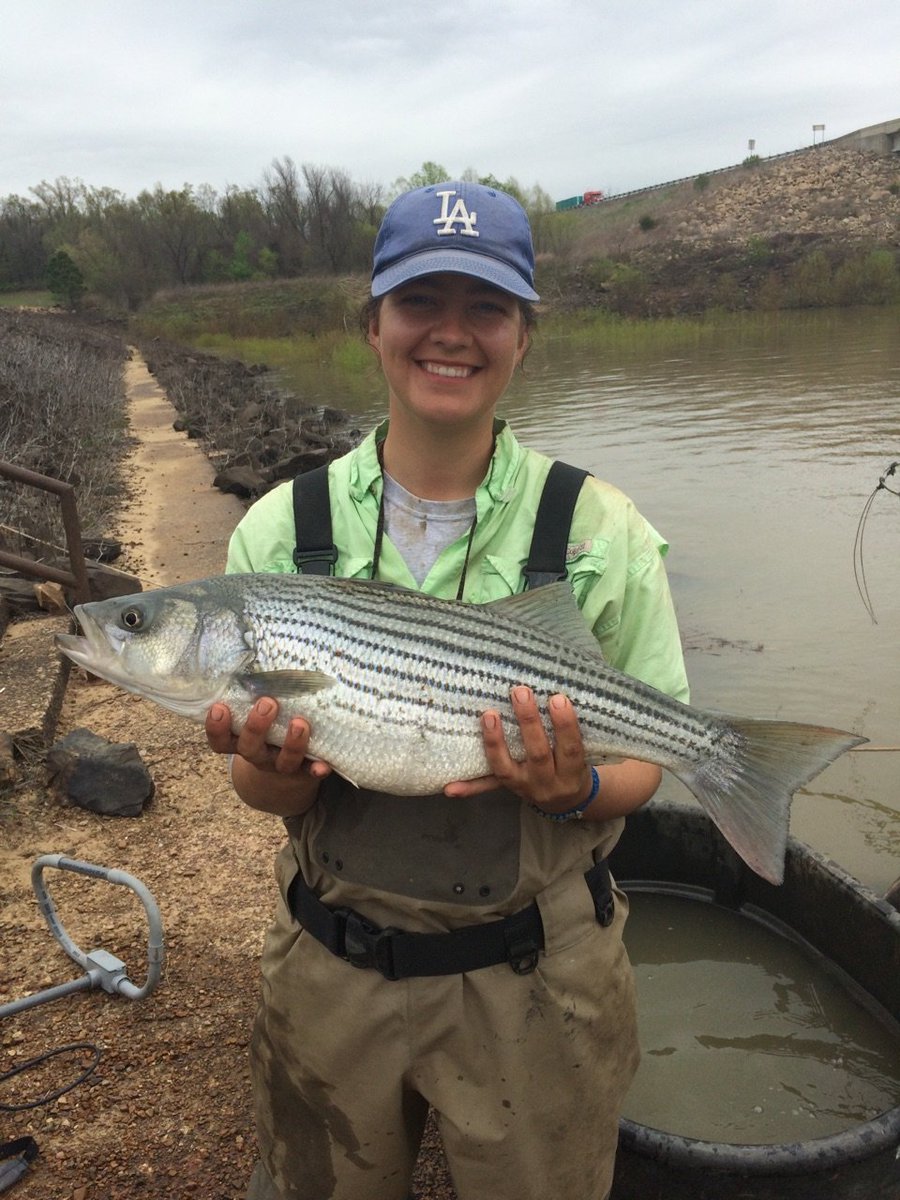 Brewer Lab tweet media