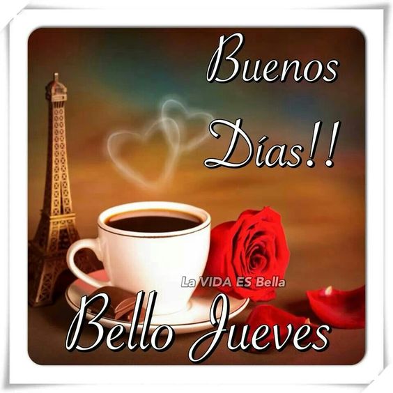 AnaMa_59's tweet photo. 😍😍Cuando algo malo te suceda/ tiene tres opciones/ dejar que te marque, que te destruya o dejar que te fortalezca🌸🌺🌼❣️🍁😍😍 https://t.co/JlRA0W5CGn