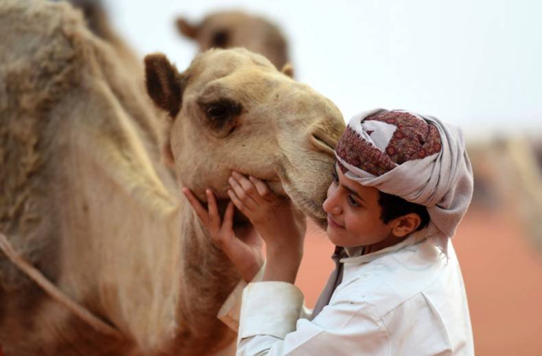 IN PICTURES: Saudi Arabia hosts world’s biggest camel fair bit.ly/2okji4s
