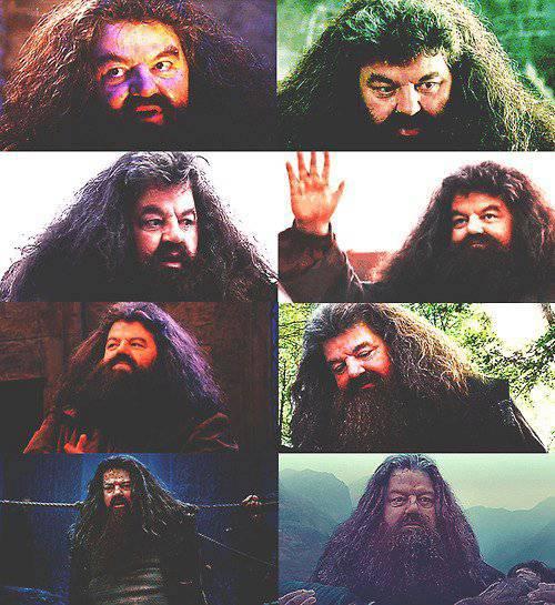 Happy 67th Birthday to Robbie Coltrane! He portrayed Rubeus Hagrid in the Harry Potter films. 