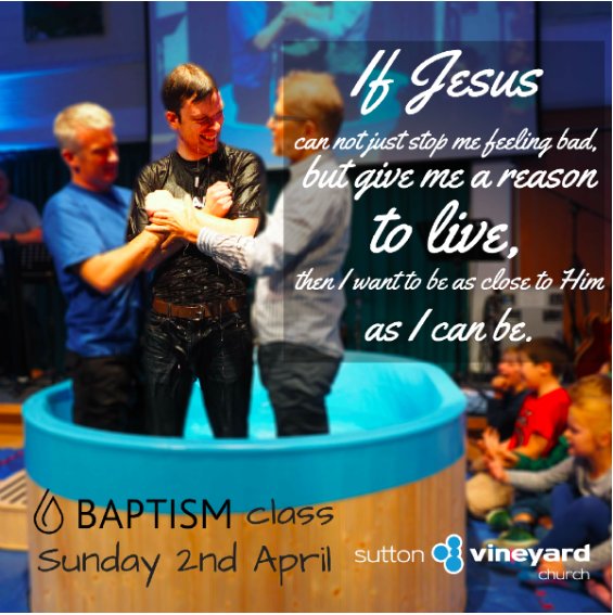 Sutton Vineyard tweet media