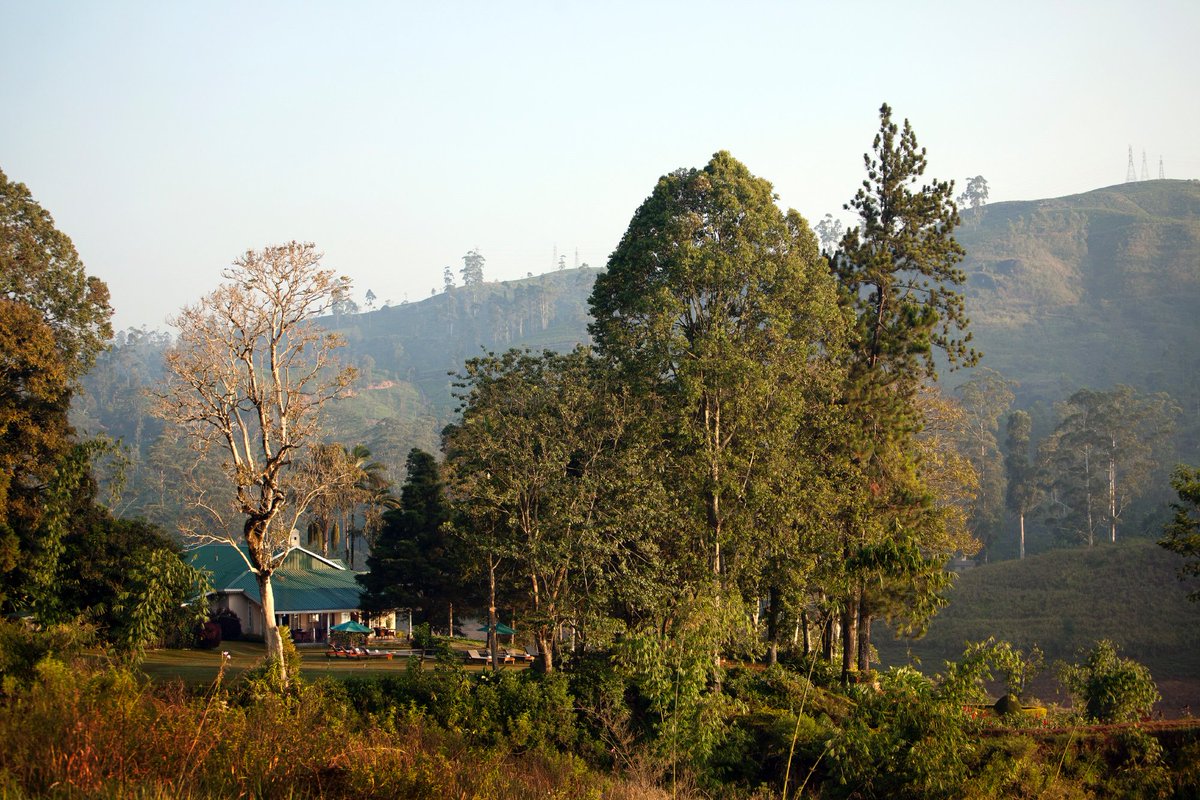 Only ExclusiveTravel tweet media