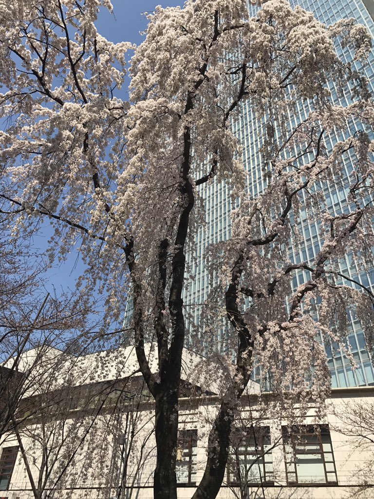 ジュニキチ tweet media