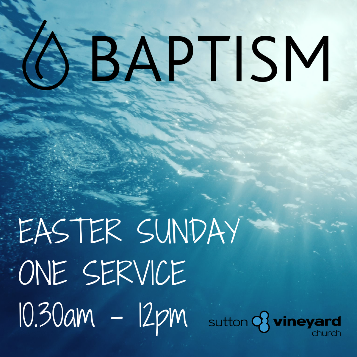 Sutton Vineyard tweet media