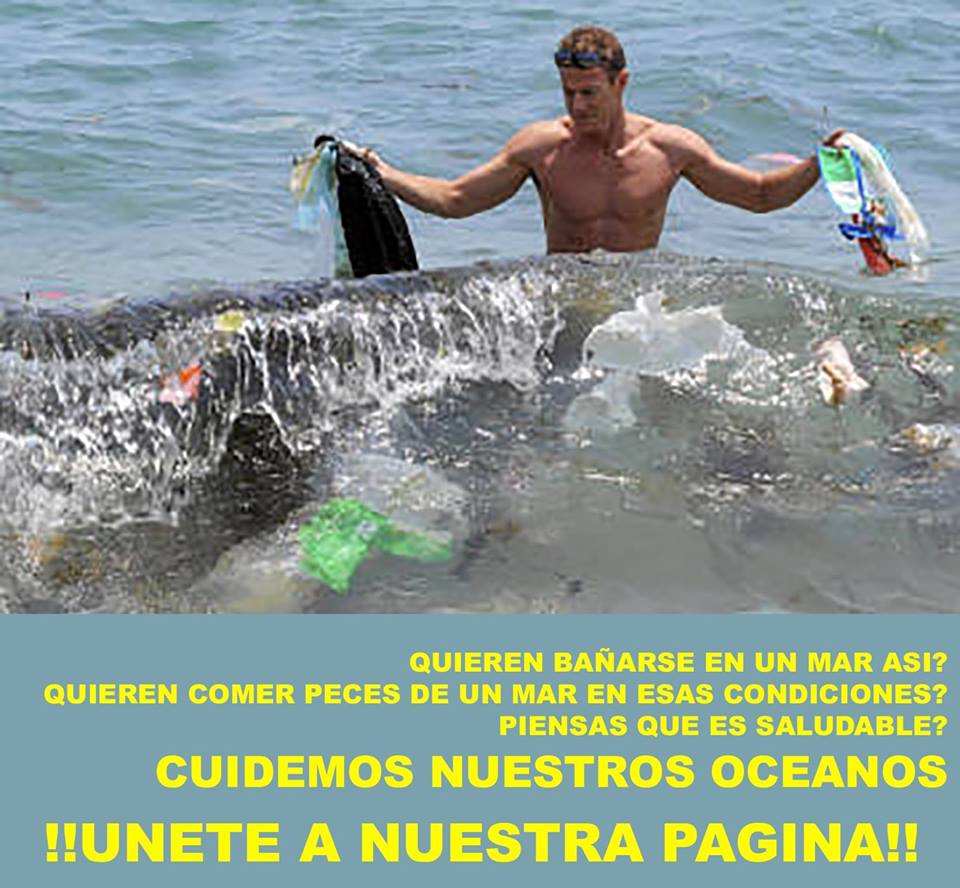 RECICLACCION tweet media