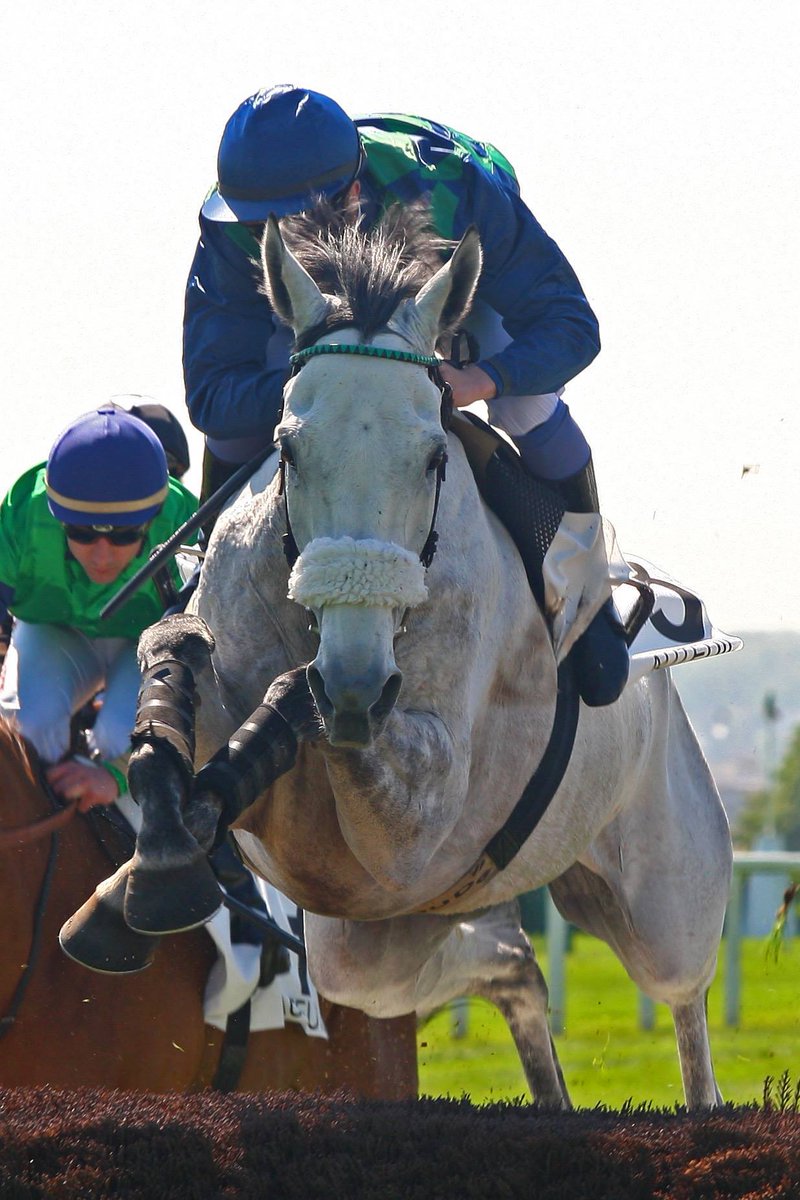 weekendturfcom's tweet photo. Samedi, retour du magnifique #VanillaCrush dans le Prix Air Landais à @fg_auteuil pas revu depuis 2015. https://t.co/36v9yKPe0L