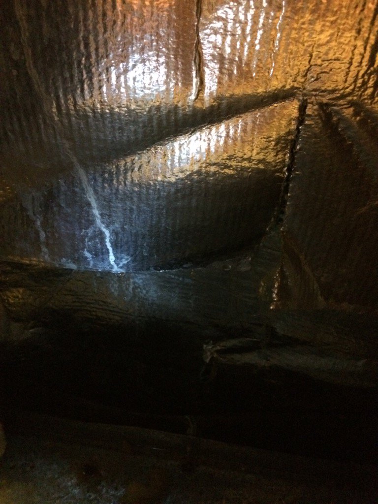 tryhay's tweet image. Test