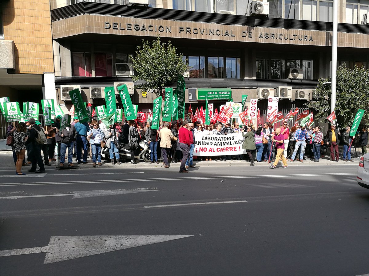 UPA-JAEN tweet media