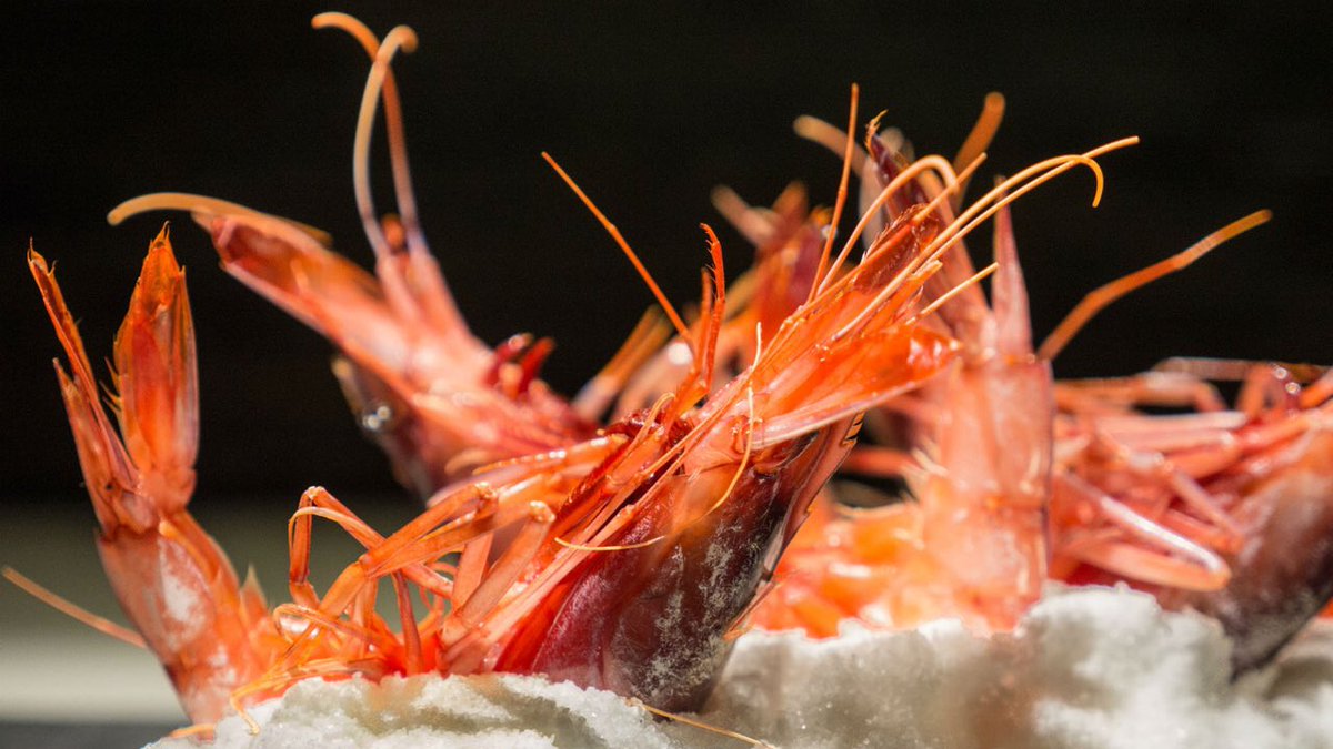 nadaimporta's tweet image. LA LISTA.

Los 25 mejores restaurantes y cocineros de España, para @CNTravelerSpain.

traveler.es/micros/micro-l…