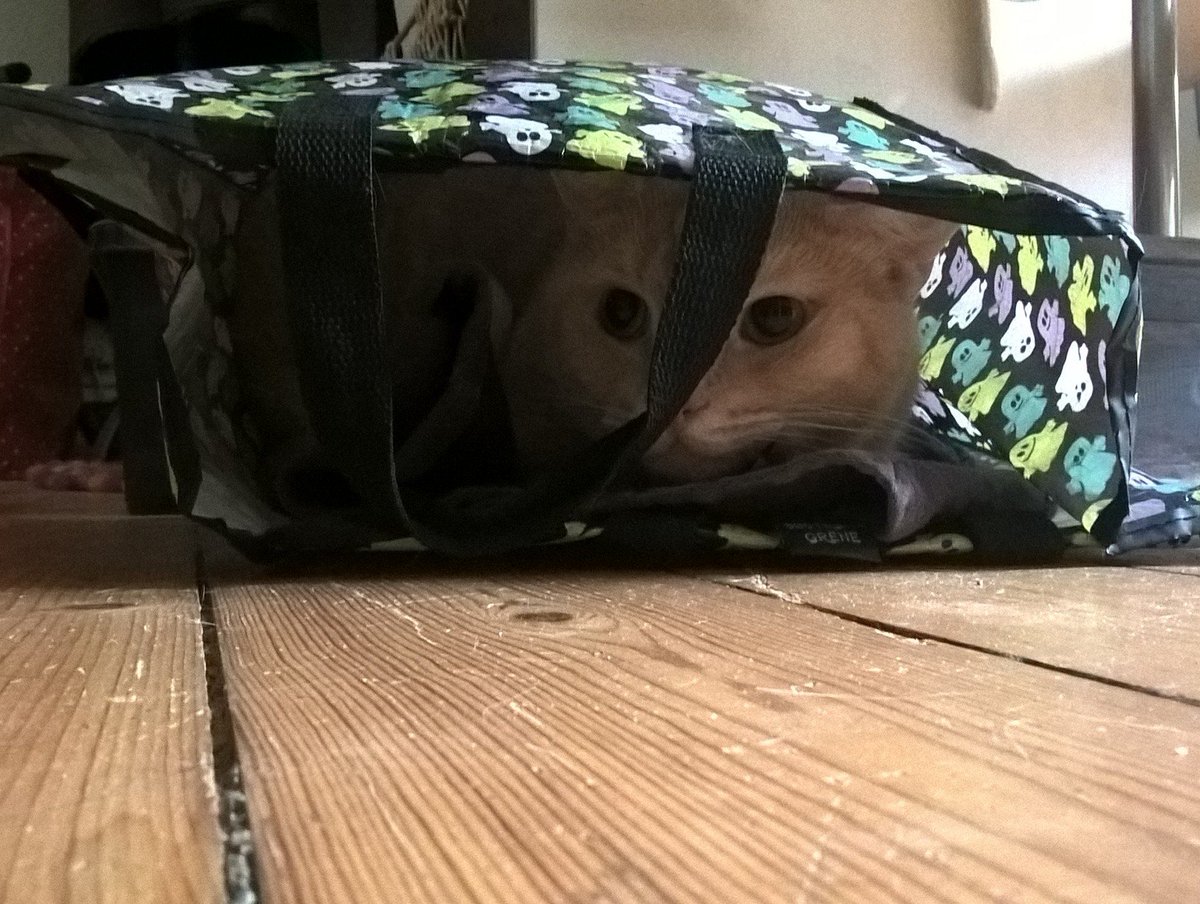 ZiggiSally's tweet photo. A true "Goodiebag" 😍😘 https://t.co/XJRbzAy8QJ