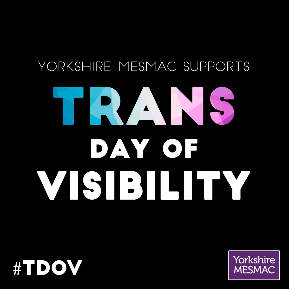 mesmachealth's tweet photo. Today is Trans day of Visibility- a day dedicated to celebrating Trans people &amp; raising awareness of the discrimination that they face #TDOV https://t.co/1vpI4iGjnd
