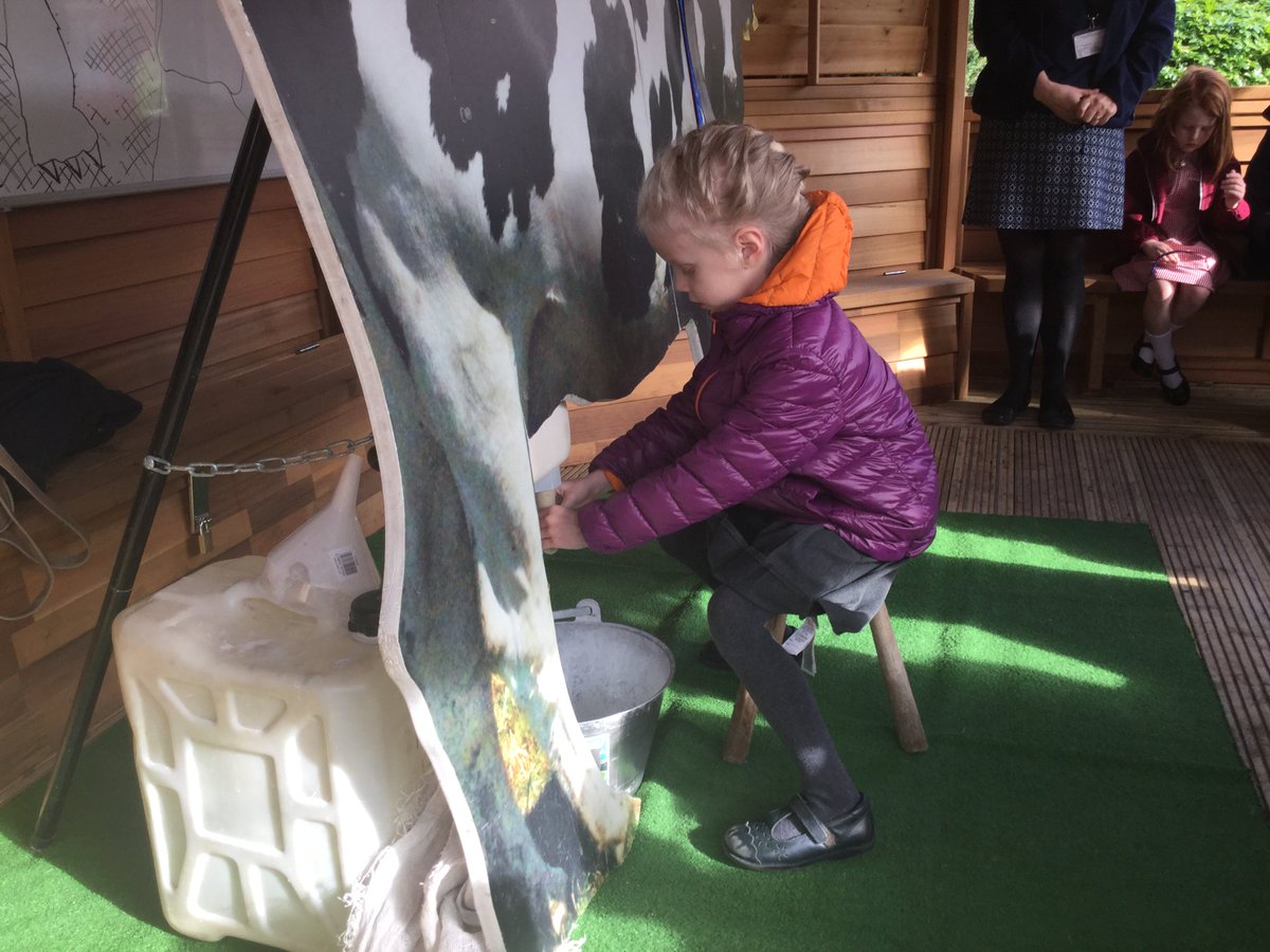 ThamesideSch's tweet photo. We had lots of fun learning about milking and Buttercup #YBStps https://t.co/kn8kxuoDC7