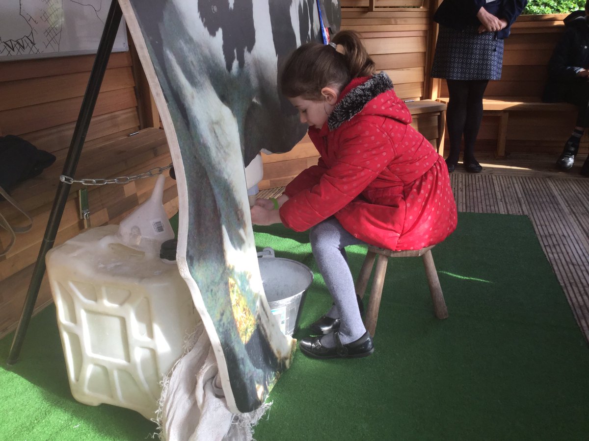 ThamesideSch's tweet photo. We had lots of fun learning about milking and Buttercup #YBStps https://t.co/kn8kxuoDC7