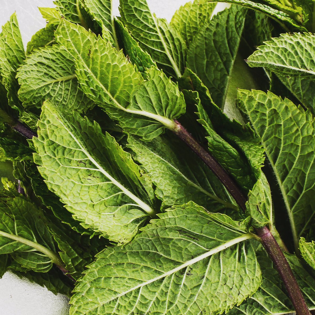 Mmmm 💚
Fresh &amp; Natural 
#40DEGREE #andrelax 
40degree.co.uk