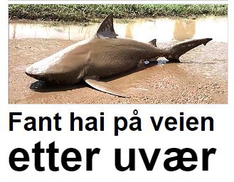 forsberg's tweet image. NRK vs. TV2