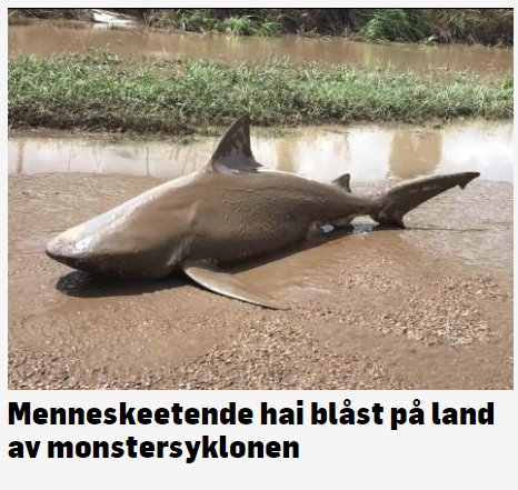 forsberg's tweet image. NRK vs. TV2