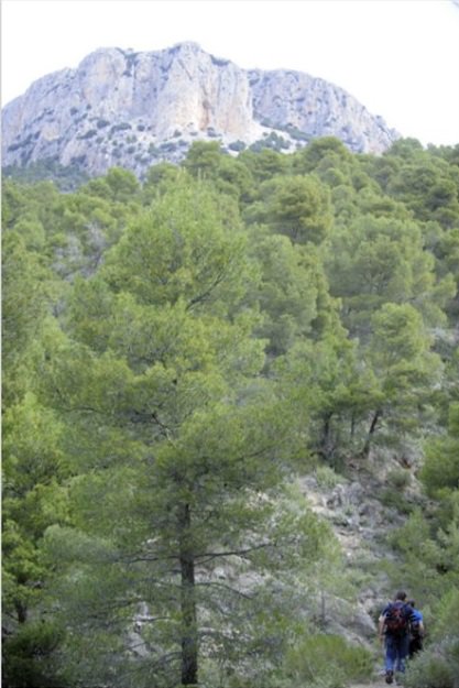 Consulta pública de tres nuevos Planes de gestión  <a href="/RedNatura2000/">Red Natura 2000</a> lospiesenlatierra.laverdad.es/noticias/4120-…
