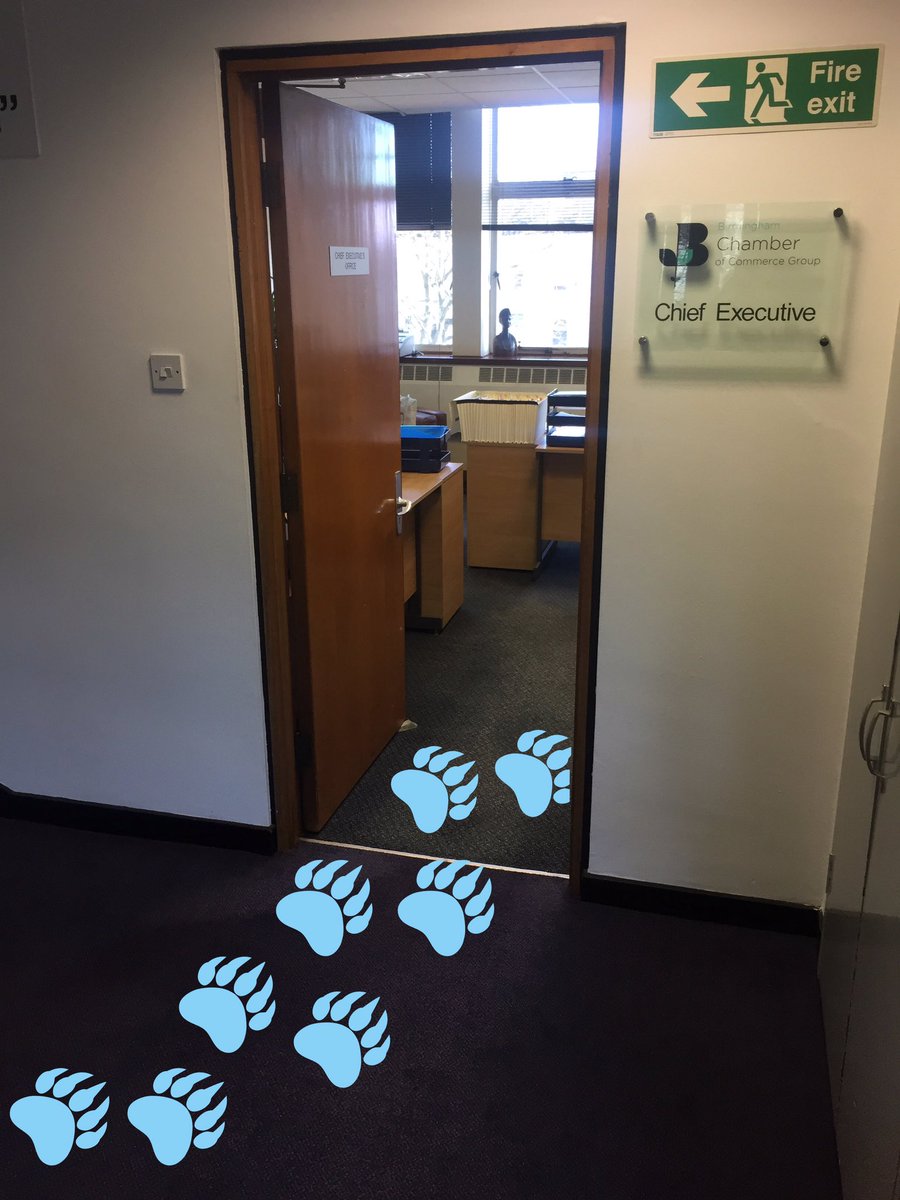 Chamber Spock (@gbccspock) on Twitter photo Great meeting with <a href="/GBChamberBoss/">Paul Faulkner</a> yesterday! Off to the #GBCCAwards17 tonight, catch me at the door🐻I can't bear the excitement!! 🐾 Great meeting with <a href="/GBChamberBoss/">Paul Faulkner</a> yesterday! Off to the #GBCCAwards17 tonight, catch me at the door🐻I can't bear the excitement!! 🐾