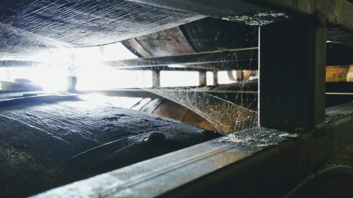 Not long until we wake these oaken vessels from thier slumber. #THF17