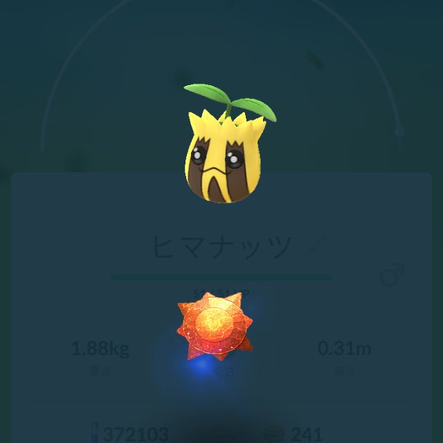 たいようのいし